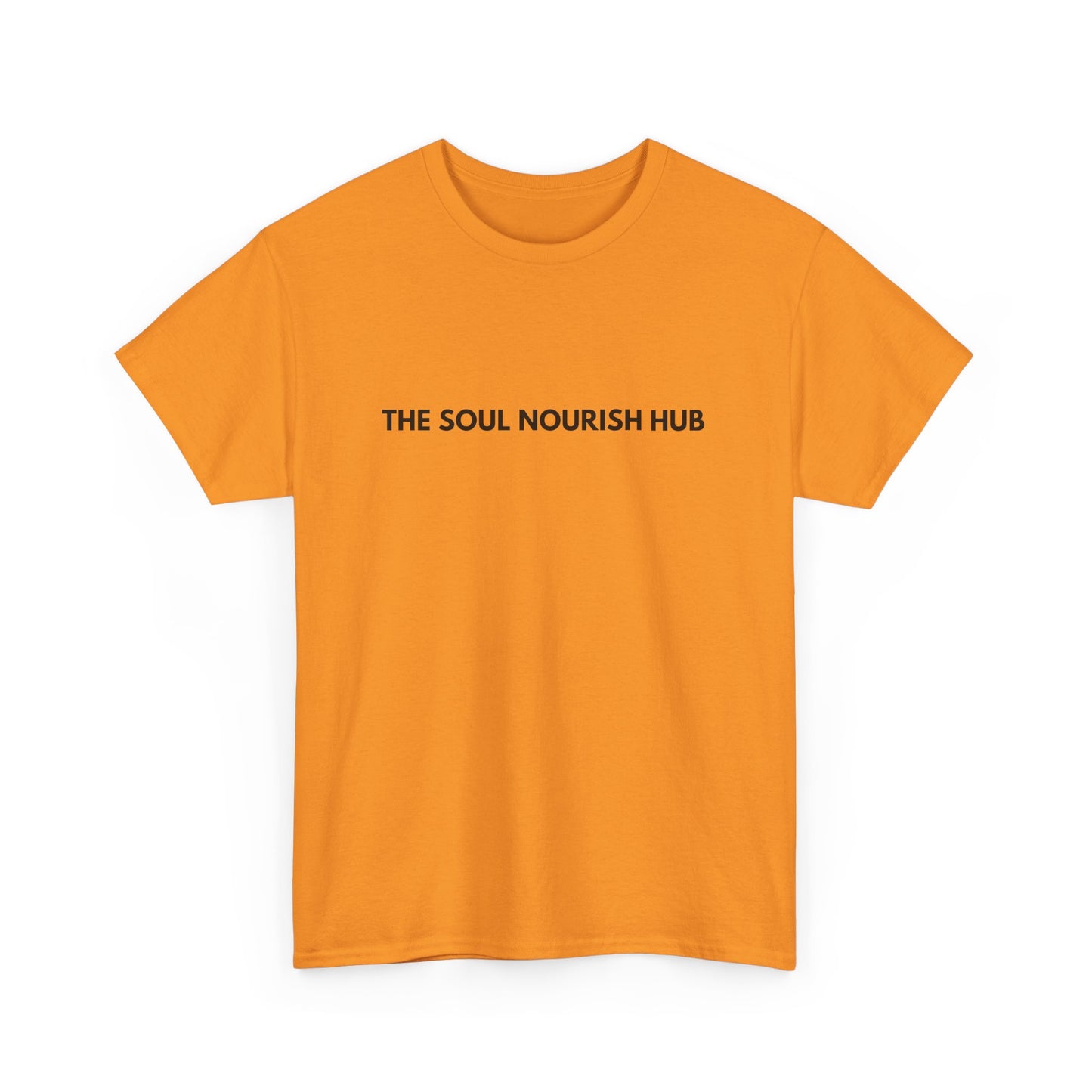 TSNH Logo Tee